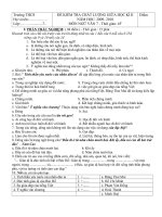 Đề KT giữa HK II có Ma trận + đáp án