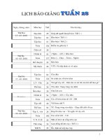 lớp 2 CKT tuần 28 (3 cột )