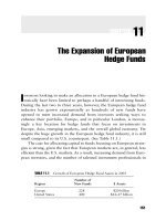 Hedges on Hedge Funds Chapter 11 ppsx