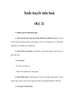 Xuất huyết tiêu hoá (Kỳ 2) pot