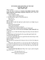 Đề thi HSG Tỉnh cấp TH, môn Tiếng Việt lớp 5