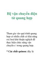 Hệ vận chuyển điện tử quang hợp doc