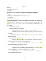 đánh giá năng lực canh tranh của viễn thông việt nam khi gia nhập tổ chức thương mại thế giới wto