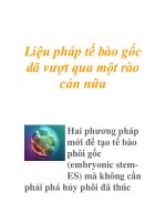 Liệu pháp tế bào gốc đã vượt qua một rào cản nữa docx