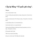 Cấp lại Bằng “Tổ quốc ghi công”. docx