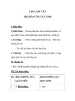 TẬP LÀM VĂN TRẢ BÀI VĂN TẢ CẢNH pot