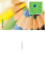 annual report báo cáo thường niên 2008 ngân hàng việt nam thịnh vượng vpbank