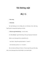 Sỏi đường mật (Kỳ 1) doc