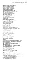 Tác phẩm Bình Ngô Đại Cáo