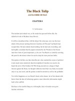 LUYỆN ĐỌC TIẾNG ANH QUA CÁC TÁC PHẨM VĂN HỌC –The Black Tulip ALEXANDRE DUMAS CHAPTER 8 8. An Invasion The incident just related was, as the pot