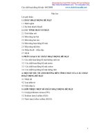 Chất hoạt động bề mặt pot