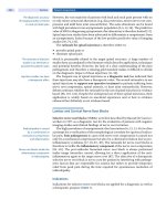 Spinal Disorders: Fundamentals of Diagnosis and Treatment Part 29 doc