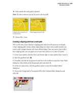 Adobe Photoshop 6.0- P8 doc