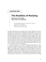 Resizing The Organization 3 pdf