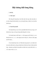 Hội chứng thắt lưng hông pot