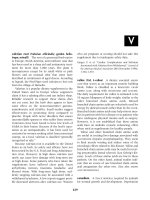 The Encyclopedia Of Nutrition And Good Health - V docx