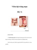 Viêm đại tràng mạn (Kỳ 1) potx