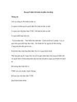 Ra quyết định thi hành án phần chủ động pptx