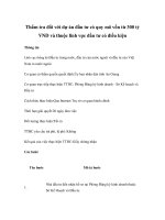 Thẩm tra đối với dự án đầu tư có quy mô vốn từ 300 tỷ VND và thuộc lĩnh vực đầu tư có điều kiện potx