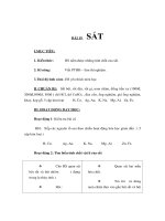 Giáo án Hoá học lớp 9 - SẮT potx