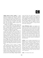 The Encyclopedia Of Nutrition And Good Health - C docx