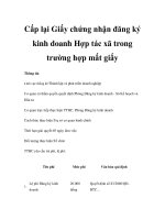 Cấp lại Giấy chứng nhận đăng ký kinh doanh Hợp tác xã trong trường hợp mất giấy doc