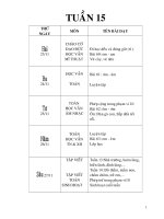 TUẦN 15 CKT (TRANG ĐỊNH YÊN 1 )