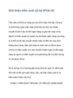 Giới thiệu kiểm soát nội bộ (Phần 5)! ppt