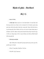 Bệnh tê phù – Beriberi (Kỳ 1) docx