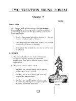 INTERMEDIATE BONSAI - Part 4 ppt