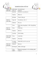 TUẦN 29 CKT( TRANG ĐỊNH YÊN 1 ) CÓ HÌNH