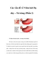 Các vần đề về Viêm loét Dạ dày – Tá tràng (Phần 2) VI. Bệnh viêm loét dạ docx