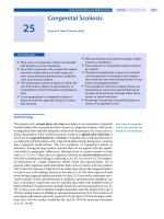 Spinal Disorders: Fundamentals of Diagnosis and Treatment Part 71 ppt