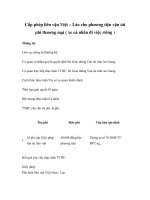 Cấp phép liên vận Việt – Lào cho phương tiện vận tải phi thương mại ( xe cá nhân đi việc riêng ) docx