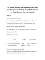 Cấp mới giấy phép hoạt động bến hàng hoá trên luồng, tuyến đường thủy nội địa thuộc đia giới hành chính tỉnh An Giang nằm trong vùng nước cảng biển docx