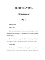 BỆNH THỦY ĐẬU ( Chickenpox ) (Kỳ 1) potx