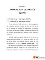 KHÁI QUÁT VỀ KHỚP NỐI RZEPPA, chương 1 docx
