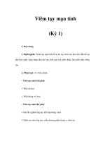 Viêm tụy mạn tính (Kỳ 1) docx