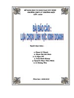 Báo cáo : Lựachọn Lĩnhvực kinh doanh