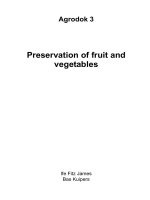 Preservation of fruit and vegetables - Part 1 pot