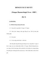 DENGUE XUẤT HUYẾT ( Dengue Haemorrhagic Fever - DHF ) (Kỳ 2) ppsx