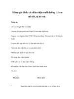 Hỗ trợ gia đình, cá nhân nhận nuôi dưỡng trẻ em mồ côi, bị bỏ rơi. pps