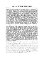 Cọc vật liệu rời - Thiết kế, thi công và hành vi pptx