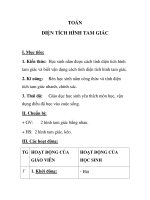 TOÁN DIỆN TÍCH HÌNH TAM GIÁC doc