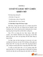 thiết kế phương pháp điều khiển robot tự hành dựa trên cơ sở logic mờ, chương 6 potx