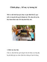 Chinh phục... bố mẹ vợ tương lai ppsx