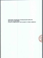 ngân hàng thương mại cổ phần sài gòn thương tín báo cáo tài chính riêng cho quý 4 năm 2012 kết thúc tại ngày 31 tháng 12 năm 2012