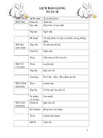 TUẦN 28 CKT (TRANG ĐỊNH YÊN 1)