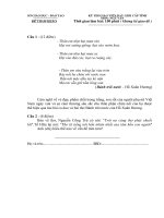 ĐỀ THI GVDG CẤP TỈNH