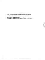 ngân hàng thương mại cổ phần sài gòn thương tín báo cáo tài chính hợp nhất cho năm tài chính kết thúc ngày 31 12 2009